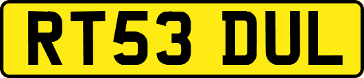 RT53DUL