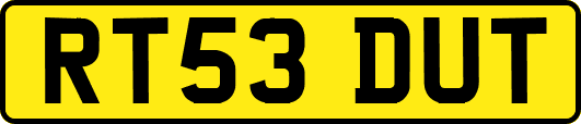 RT53DUT