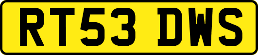 RT53DWS