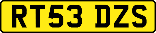 RT53DZS