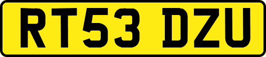 RT53DZU