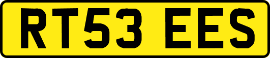 RT53EES