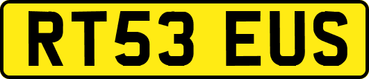 RT53EUS