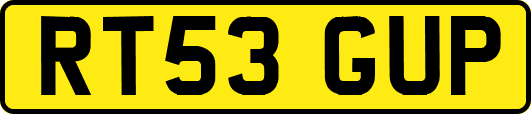 RT53GUP