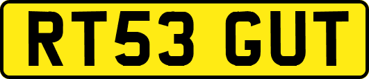RT53GUT