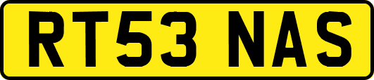 RT53NAS
