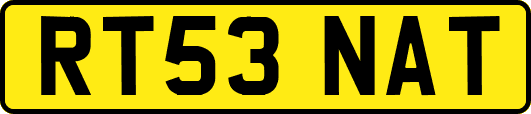 RT53NAT