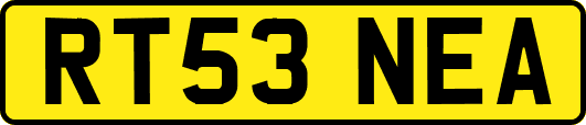 RT53NEA