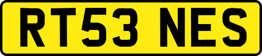 RT53NES