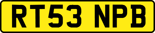 RT53NPB