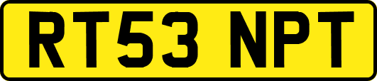 RT53NPT