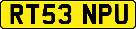 RT53NPU