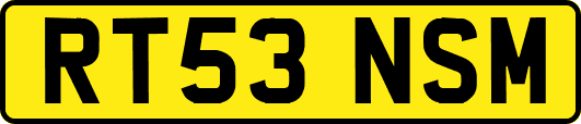 RT53NSM