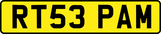 RT53PAM