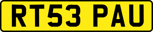RT53PAU