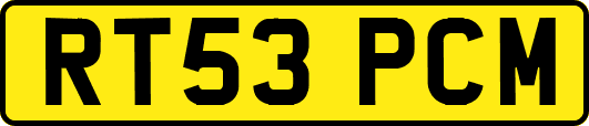 RT53PCM