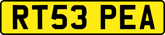 RT53PEA