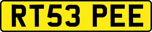 RT53PEE