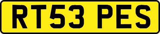 RT53PES