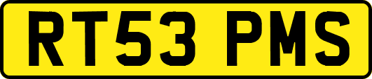 RT53PMS