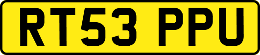 RT53PPU