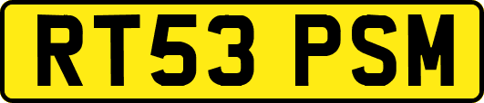 RT53PSM