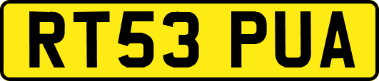 RT53PUA
