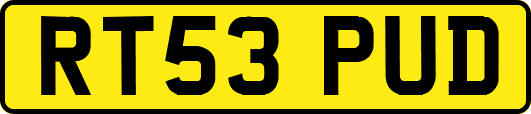 RT53PUD