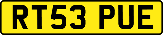 RT53PUE