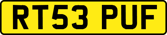 RT53PUF