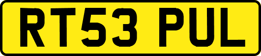 RT53PUL