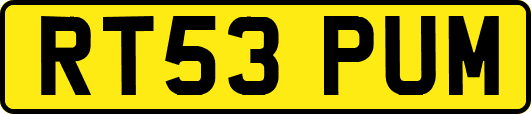RT53PUM