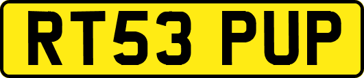 RT53PUP