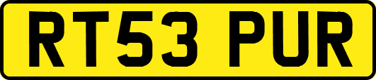 RT53PUR