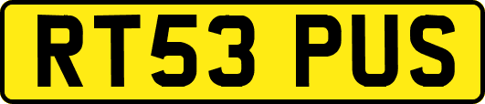 RT53PUS