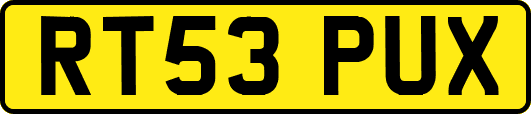 RT53PUX