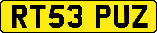 RT53PUZ