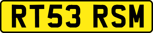 RT53RSM