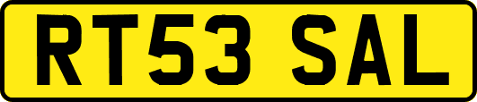 RT53SAL