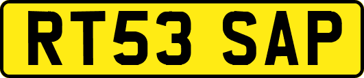 RT53SAP