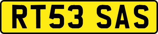 RT53SAS