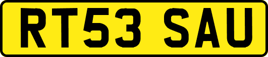 RT53SAU