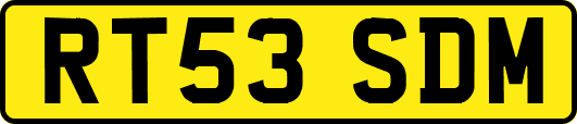 RT53SDM