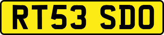 RT53SDO
