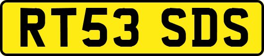 RT53SDS