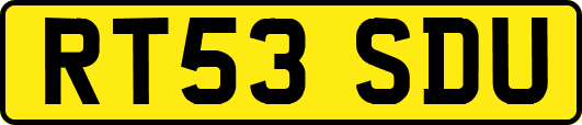 RT53SDU
