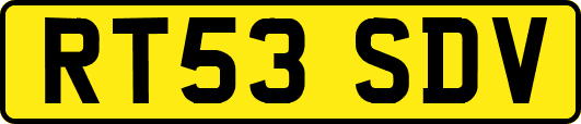 RT53SDV