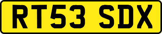 RT53SDX