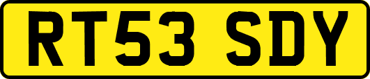 RT53SDY