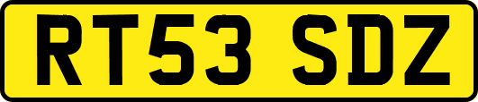 RT53SDZ